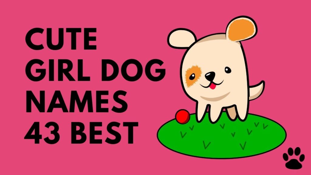 Cute Female Dog Names You’ll Love – Unique, Popular & Adorable Picks!